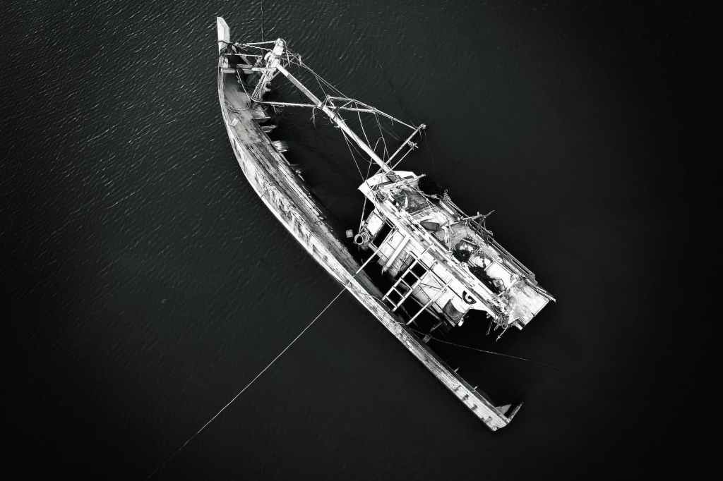 MAR AMADO MAR REMOTO